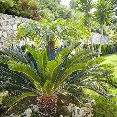 Villa Unique La Vie Est Belle Pastida